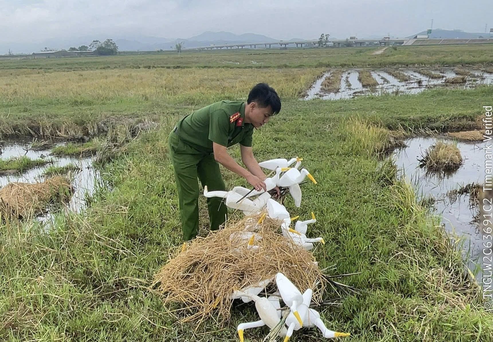 NGĂN CHẶN HÀNH VI BẪY, SĂN BẮT CHIM TRỜI