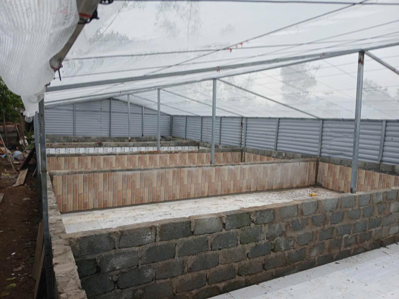 HỘI NÔNG DÂN XÃ CẨM DUỆ KIỂM TRA MÔ HÌNH “DÂN VẬN KHÉO” NUÔI THỦY SẢN CỦA HỘ ANH PHẠM VĂN THUYẾT Ở THÔN BỘC NGUYÊN