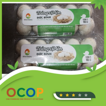 SẢN PHẨM TRỨNG VỊT LỘN ĐỨC BÌNH
