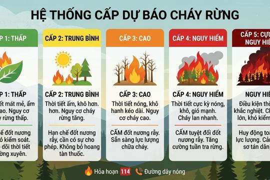 Thông tin dự báo cấp cháy rừng ngày 25-26/7/2026